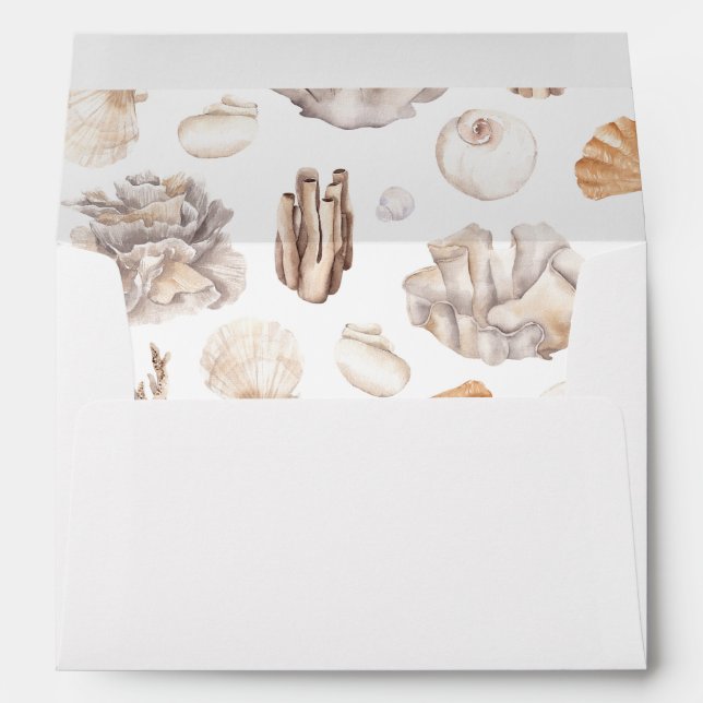 Seashells 3 envelope (Back (Bottom))