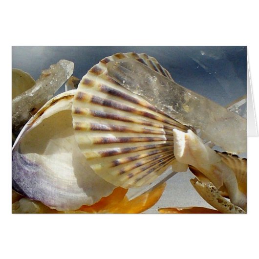 Seashells and crystal cards (Front Horizontal)