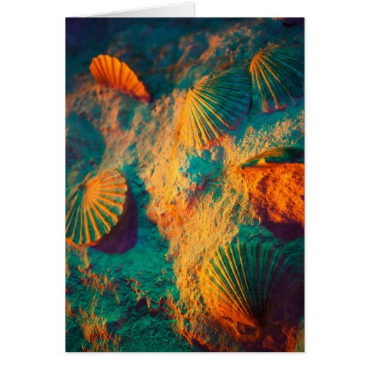 Seashells and Sand Cards (Front)