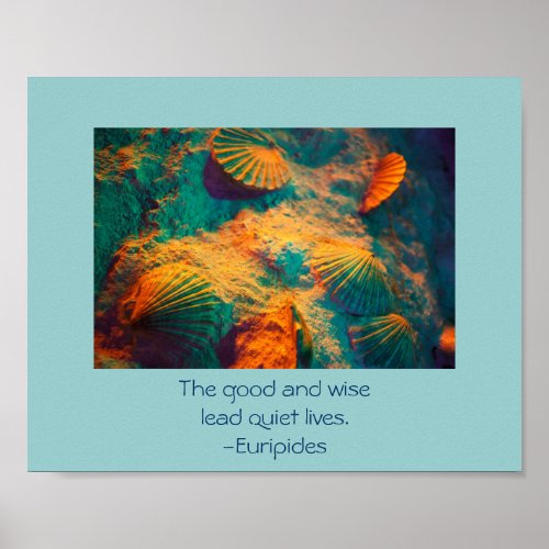 Seashells and Sand Poster