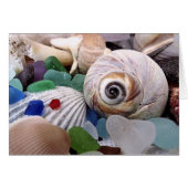 Seashells and Sea Glass (Front Horizontal)