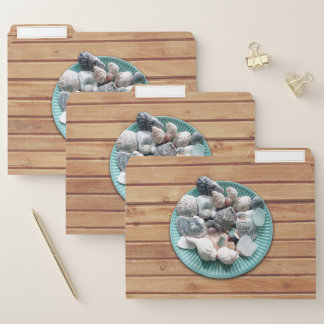Seashells and Sea Glass File Folder