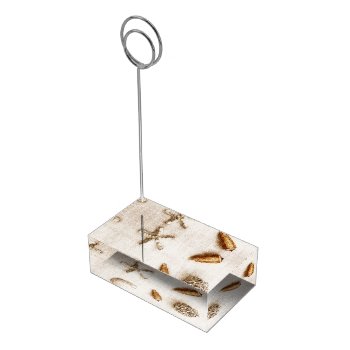 Seashells And Starfish - Ocean Beach Theme Table Number Holder by justbecauseiloveyou at Zazzle