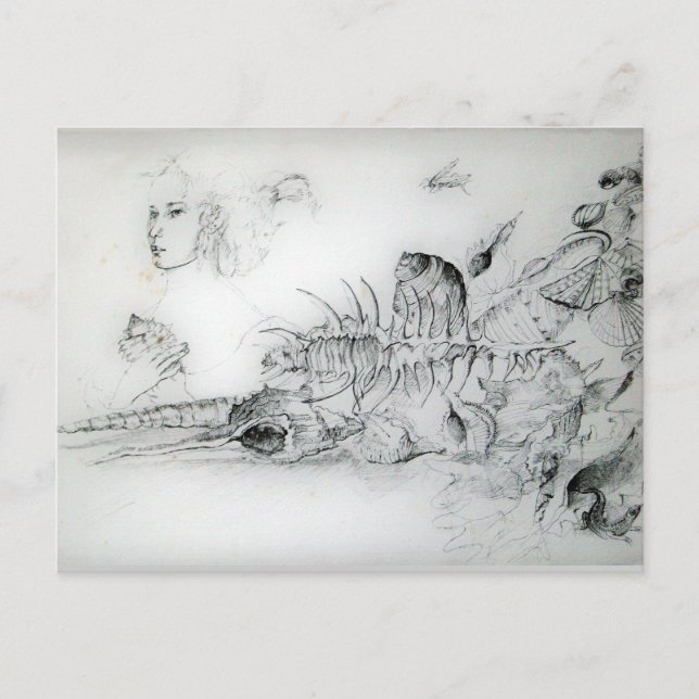 SEASHELLS AND YOUNG GIRL Black White Drawing Postcard (Front)