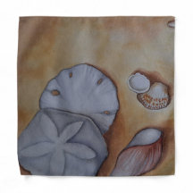 Seashells at the Seashore 