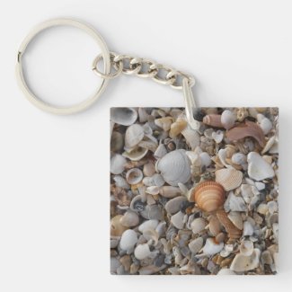 Seashell Time and Beach Gifts