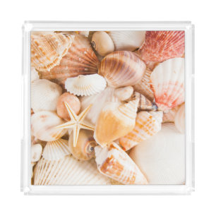 Seashells background: marine theme. acrylic tray