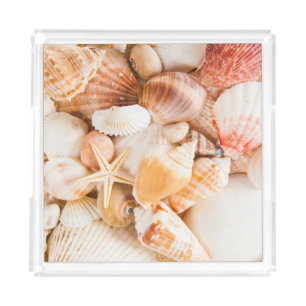 Seashells background: marine theme. acrylic tray