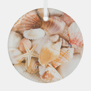 Seashells background: marine theme. glass ornament