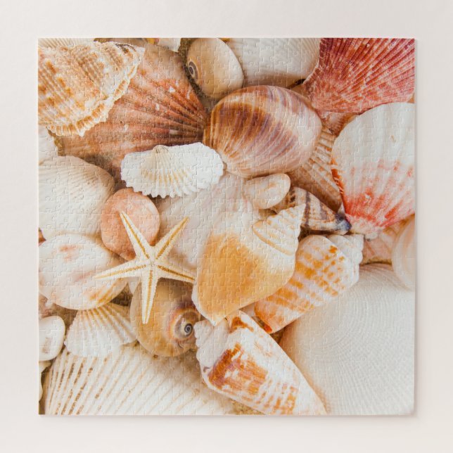 Seashells background: marine theme. jigsaw puzzle (Vertical)