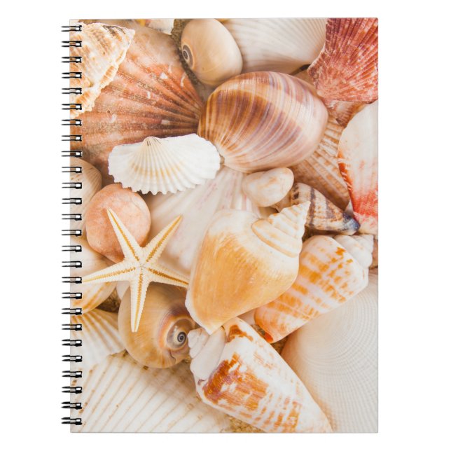 Seashells background: marine theme. notebook (Front)