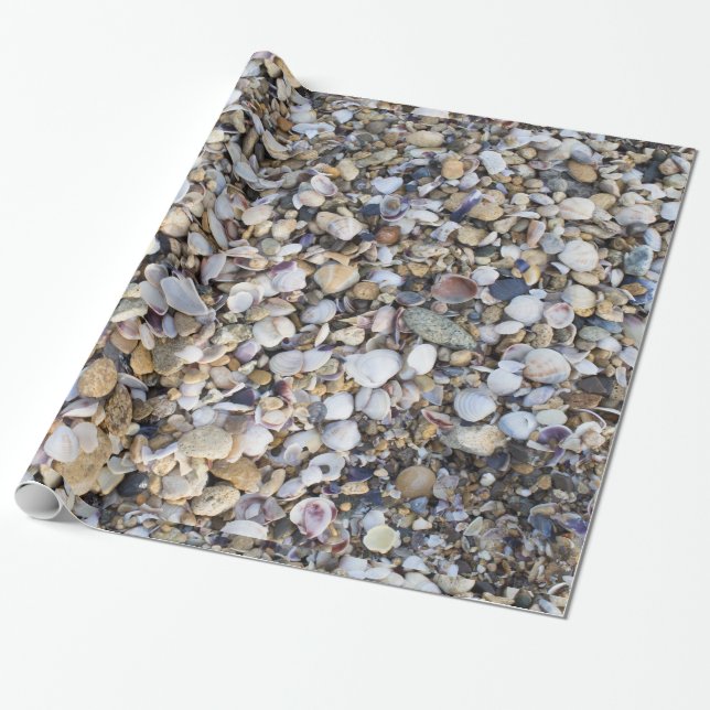 Seashells background wrapping paper (Unrolled)
