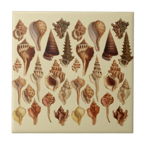 Seashells Beach House Brown Snails Coastal Vintage Ceramic Tile