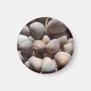 Seashells Beach, Summer Holiday Magnet