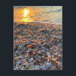 Seashells Beach Sunset Clearwater Florida Photo  Postcard<br><div class="desc">Hi there! Hope you like this photo I captured on my travels. Feel free to add your own text! Check my shop for more.</div>