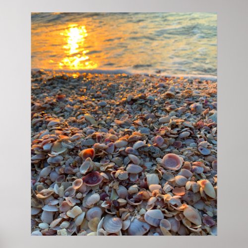 Seashells Beach Sunset Clearwater Florida Photo Poster