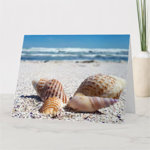 SEASHELLS BEACH TROPICAL BIRTHDAY GREETING CARD