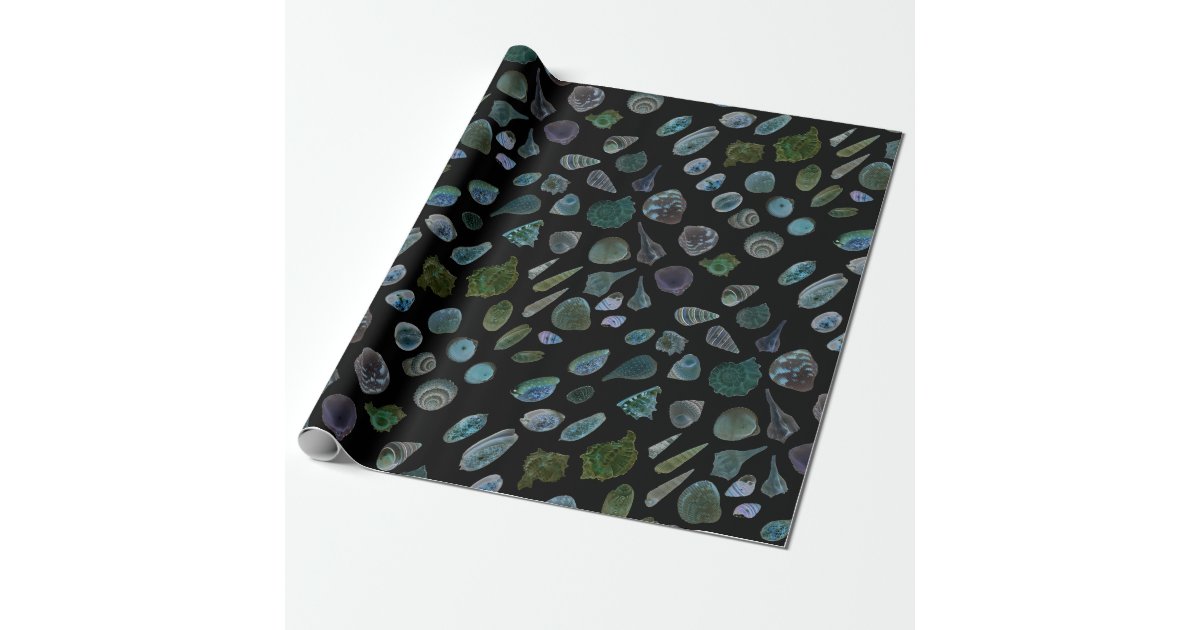 Seashells Black Glossy Matte Wrapping Paper Zazzle