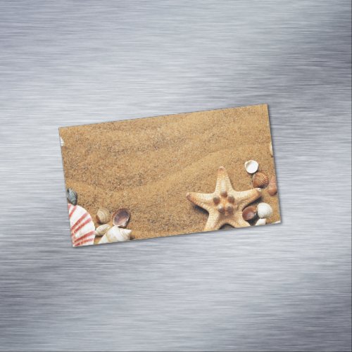Seashells Business Card Magnet