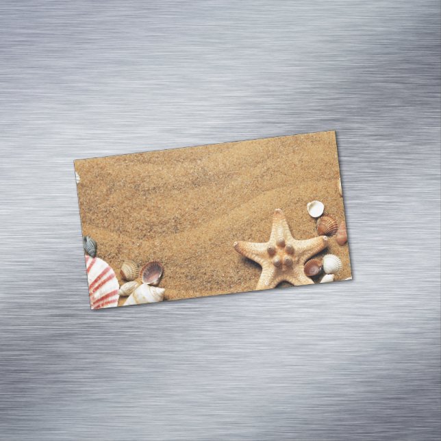 Seashells Business Card Magnet (In Situ)