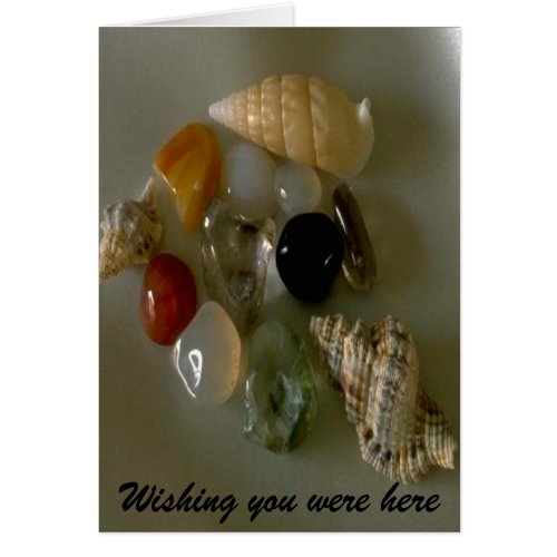 Seashells by the Seashore_