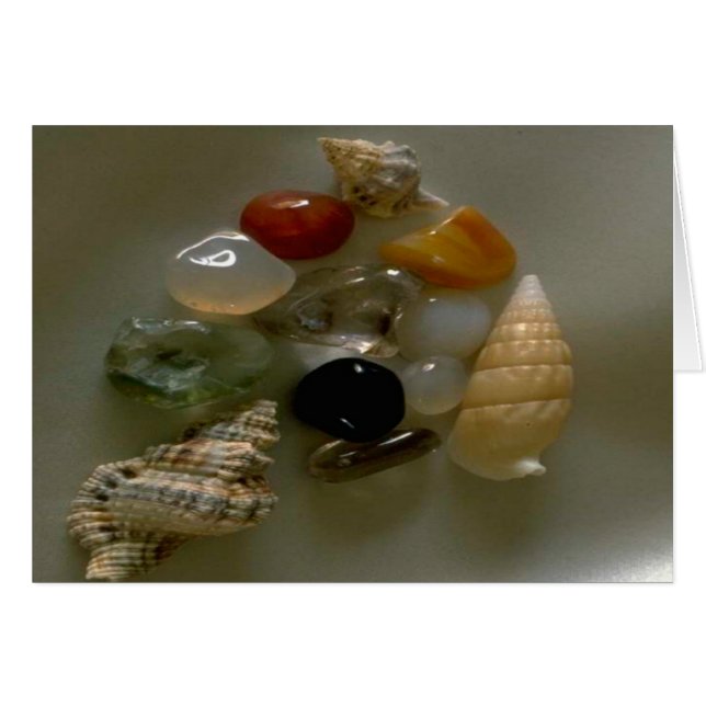 Seashells by the Seashore- (Front Horizontal)