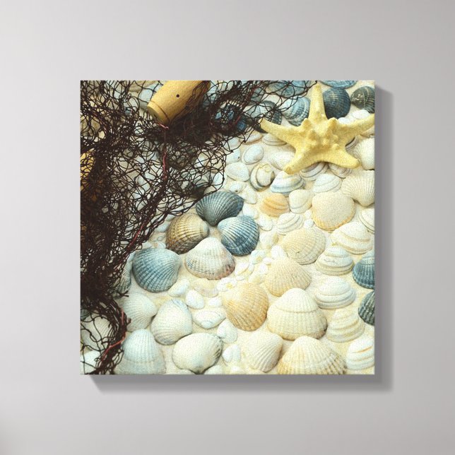 Seashells Canvas Print (Front)