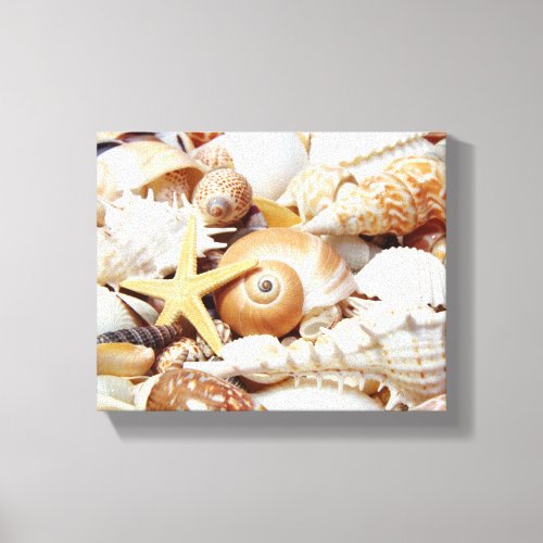 Seashells Canvas Print