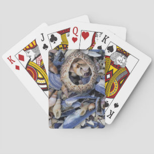 Seashells, Cape Town, Western Cape Poker Cards