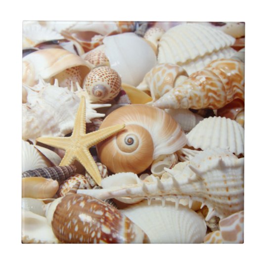 Seashells Ceramic Tile