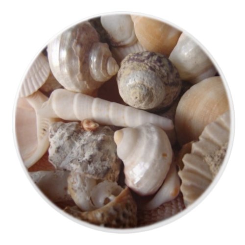 Seashells Clam Shells Cockle Shells Scallops Ceramic Knob