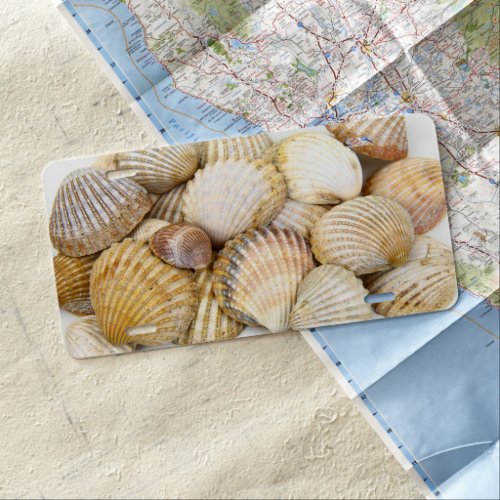 Seashells Clam Shells Cockle Shells Scallops License Plate