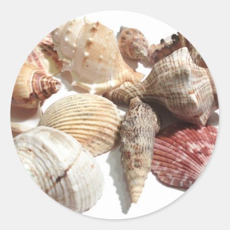 Seashells Classic Round Sticker
