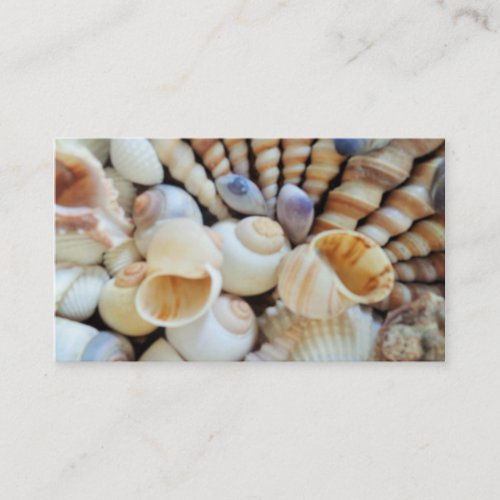 Seashells Collection business cards Summer Beach Business Card