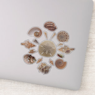 Seashells Collection Mandala Sticker