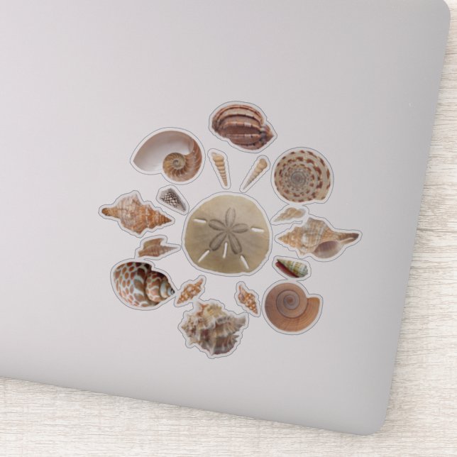 Seashells Collection Mandala Sticker (Detail)