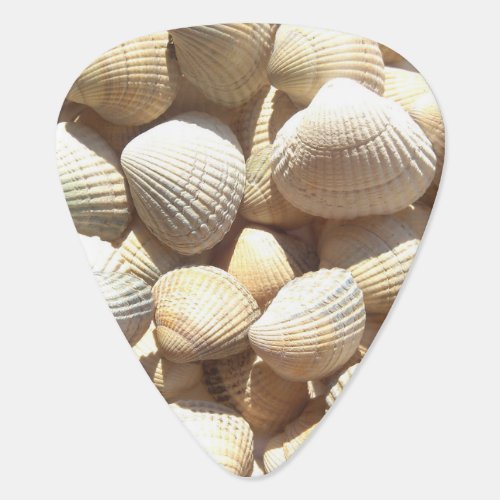 Seashells Collection Summer Beach Guitar Picks