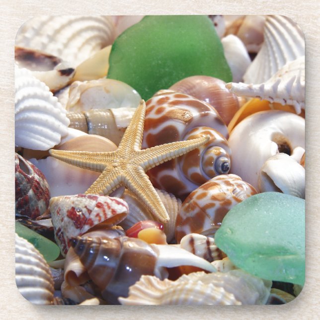 Seashells Cork Coaster (Front)