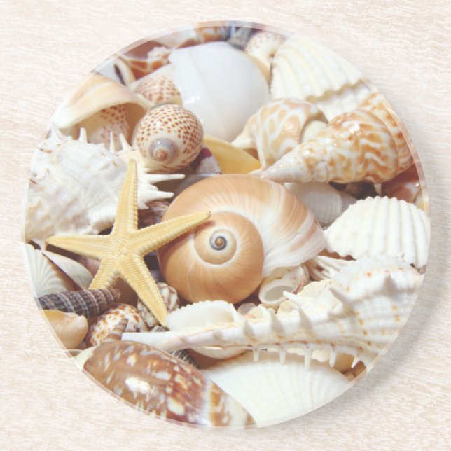 Seashells Drink Coaster (Front)