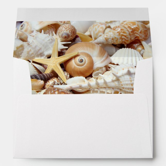 Seashells Envelope (Back (Bottom))