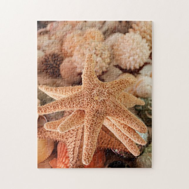 Seashells for sale Zihuatanejo, Mexico Jigsaw Puzzle (Vertical)