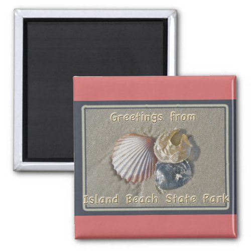 Seashells Greetings From IBSP Seaside Park NJ Magnet