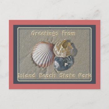Seashells Greetings From Ibsp Seaside Park Nj Postcard by CarolsCamera at Zazzle