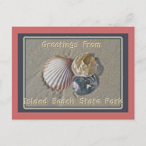 Seashells Greetings From IBSP Seaside Park NJ Postcard