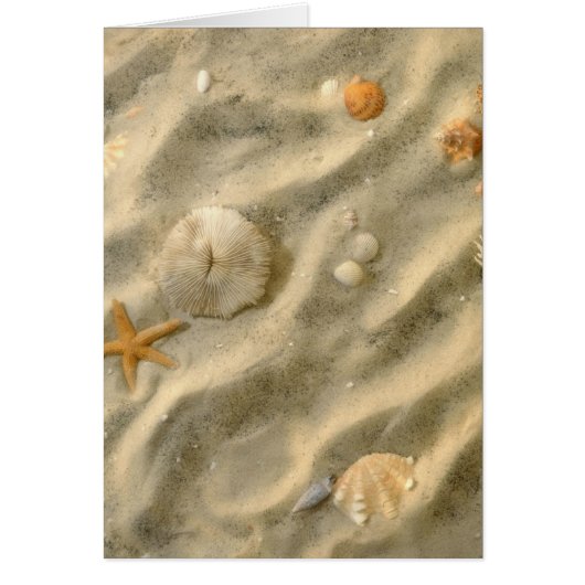 Seashells In Sand Cards (Front)
