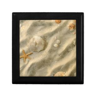 Seashells In Sand Keepsake Box