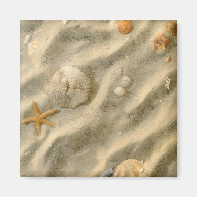 Seashells In Sand Magnet (Front)