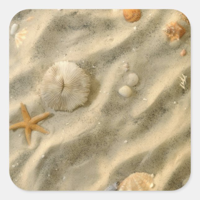 Seashells In Sand Square Sticker (Front)