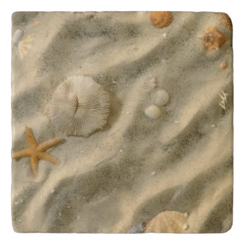 Seashells In Sand Trivet