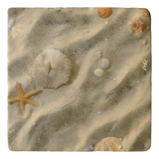 Seashells In Sand Trivet (Front)